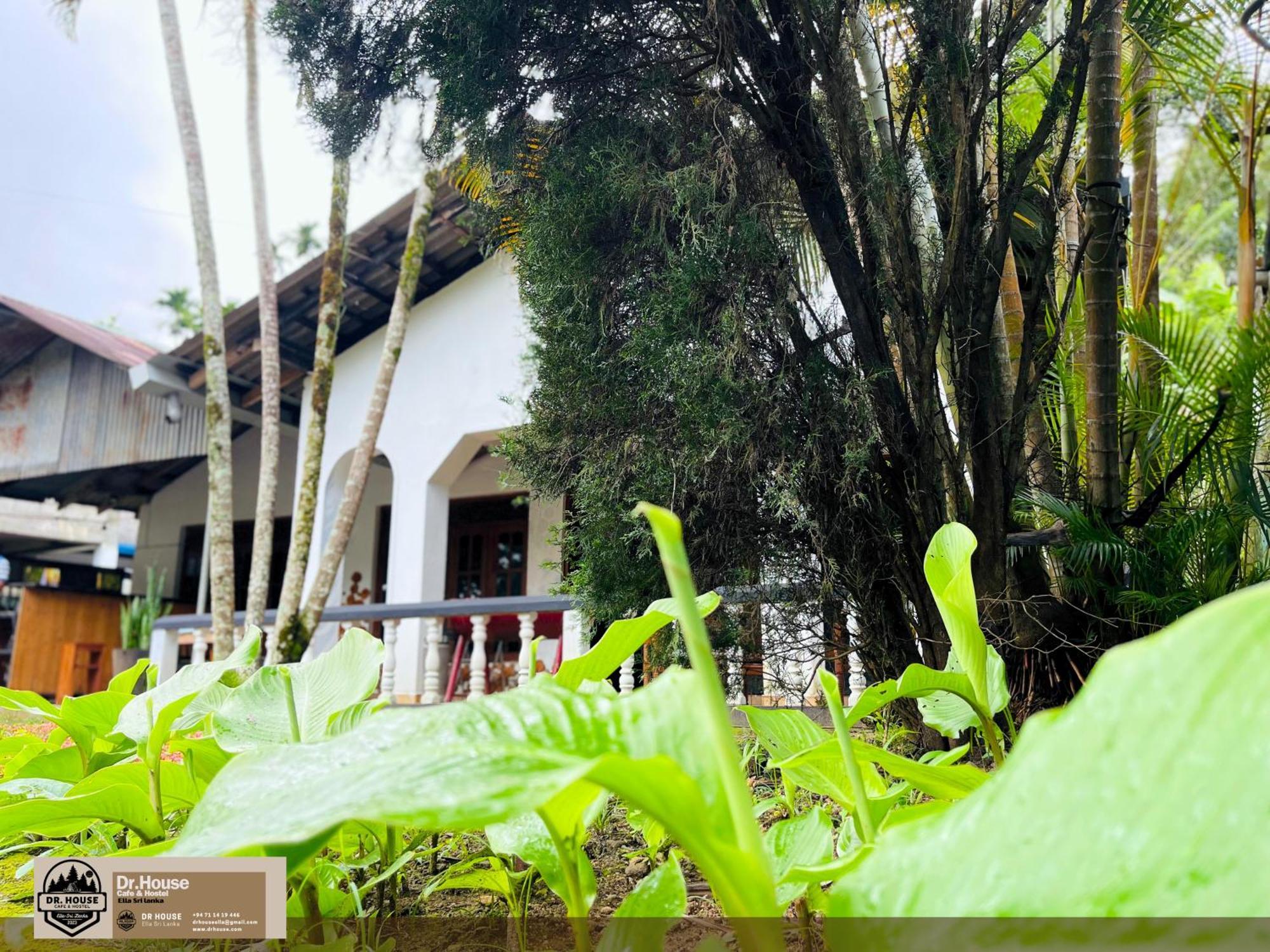 Dr House Ella - Hostel & Cafe Exterior foto